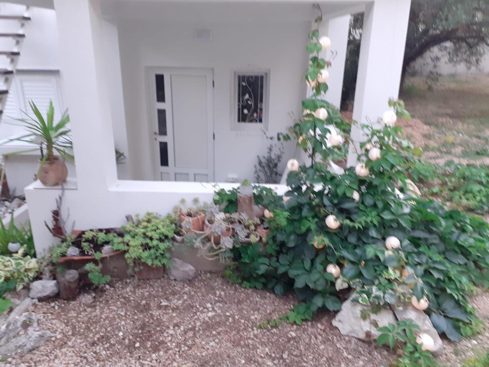 Villa Ana มาคาร์สกา ห้อง รูปภาพ